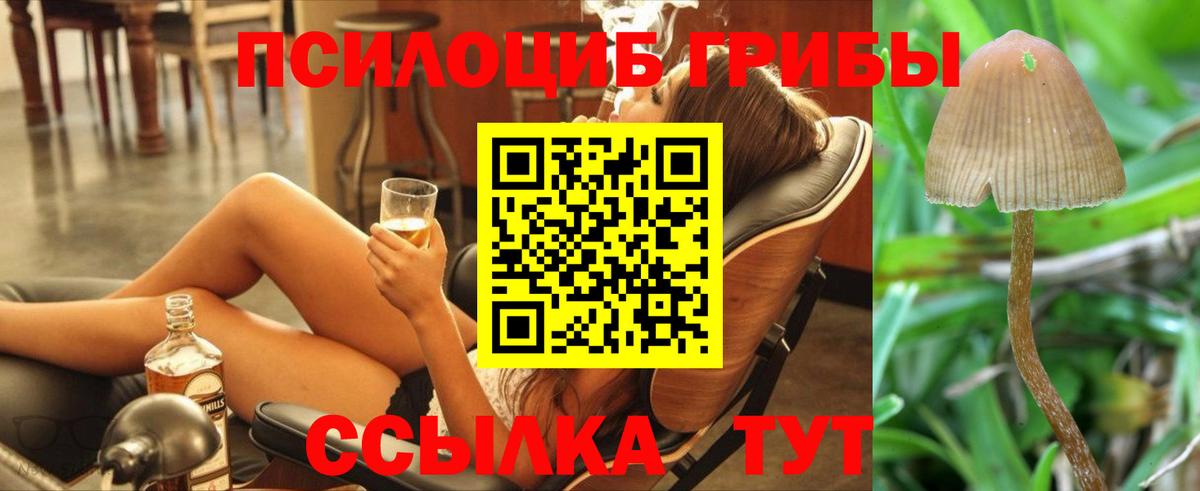 Галлюциногенные грибы Magic Shrooms  Вход с VPN  Пенза  Галлюциногенные грибы Cubensis 