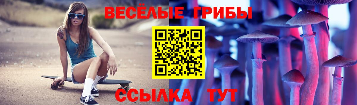 Галлюциногенные грибы Cubensis Пенза